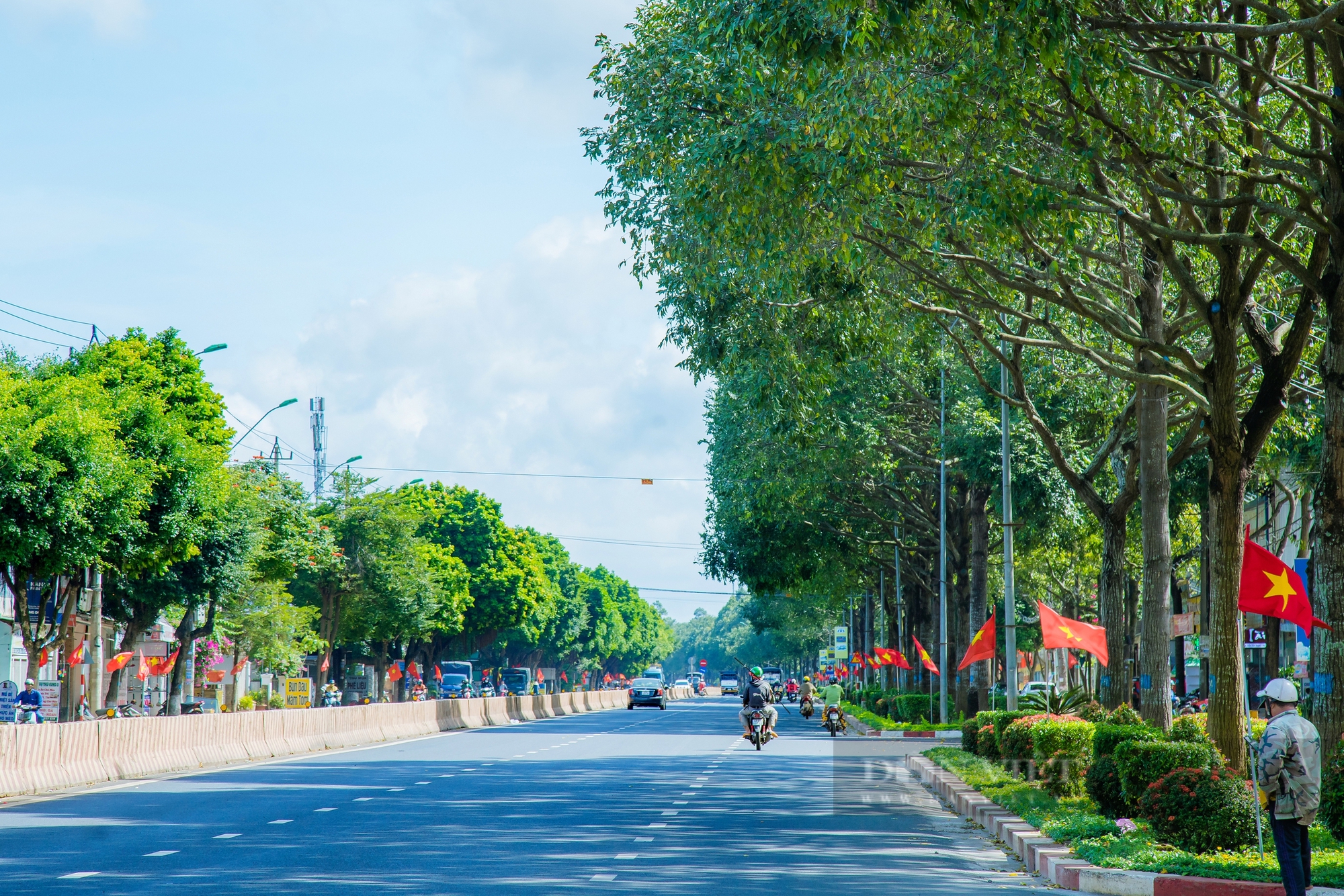 Hình ảnh Buôn Ma Thuột rực rỡ sắc cờ Tổ quốc, sẵn sàng chào đón kỷ niệm 120 năm Đắk Lắk - Ảnh 9.